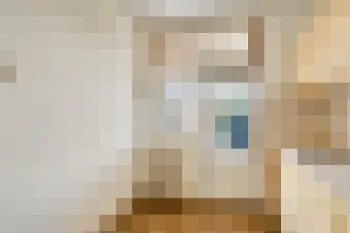 Jan van Amstelstraat 92 Gemert thumbnail 22