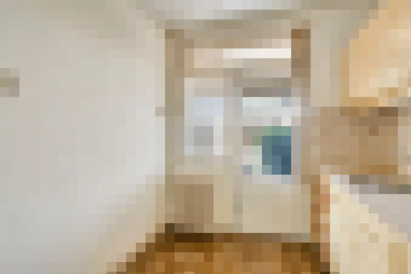 Jan van Amstelstraat 92 Gemert thumbnail 22