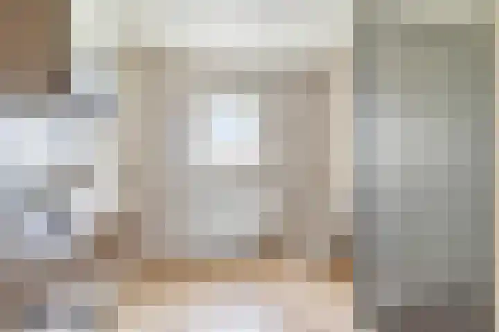 Jan van Amstelstraat 92 Gemert thumbnail 30