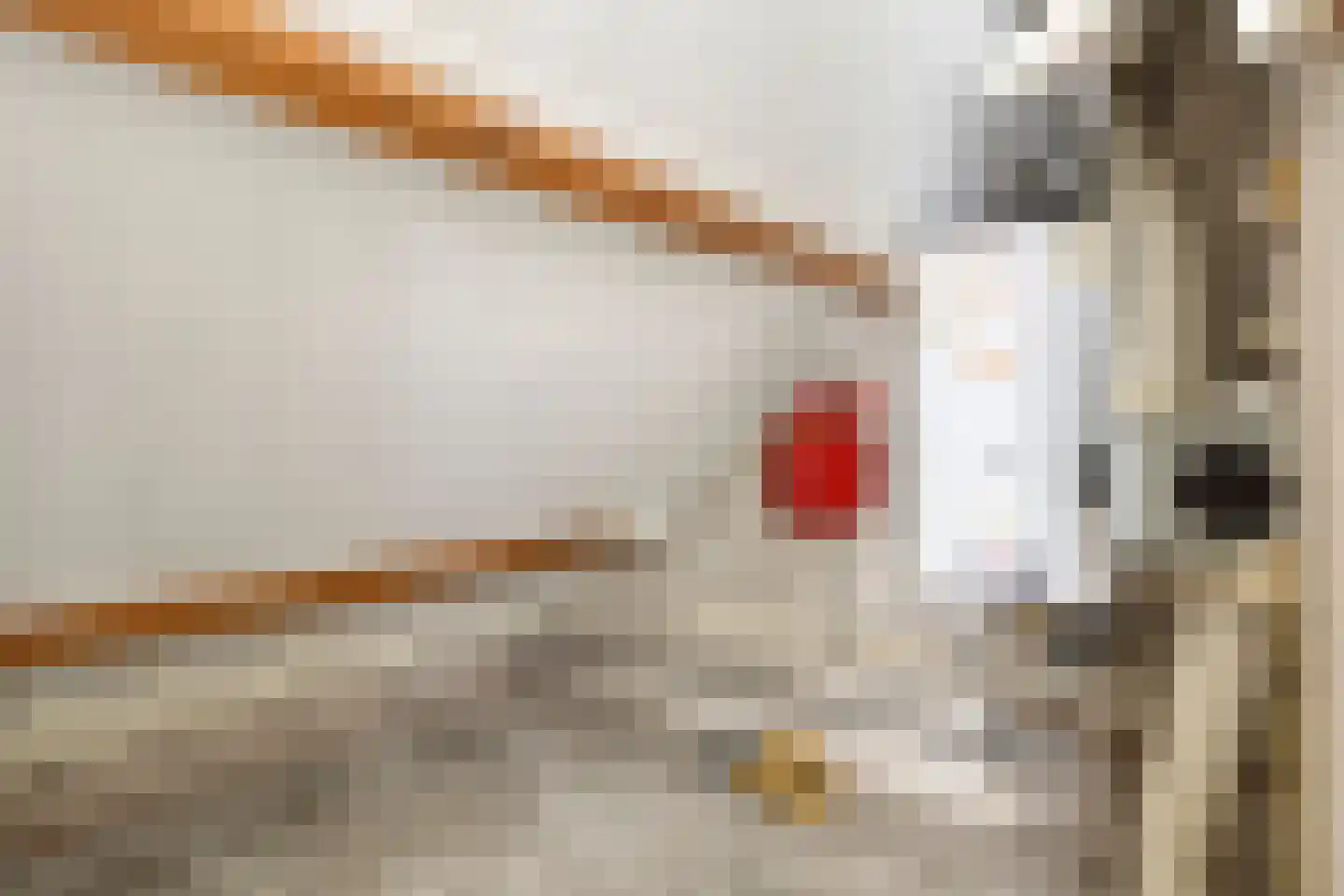 Jan van Amstelstraat 92 Gemert thumbnail 35