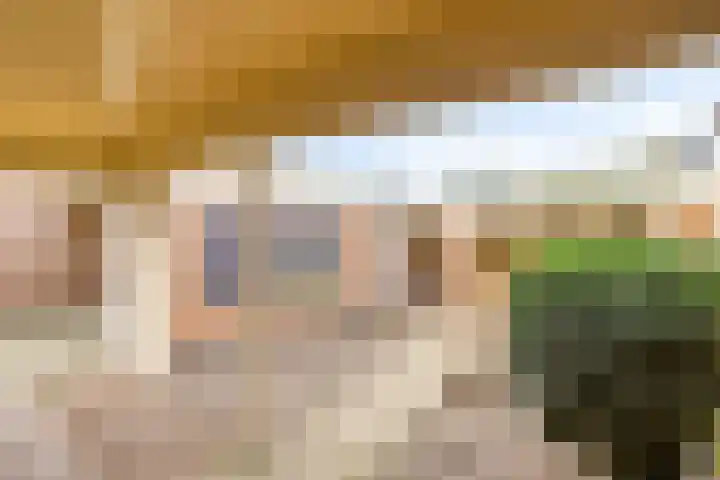Jan van Amstelstraat 92 Gemert thumbnail 37