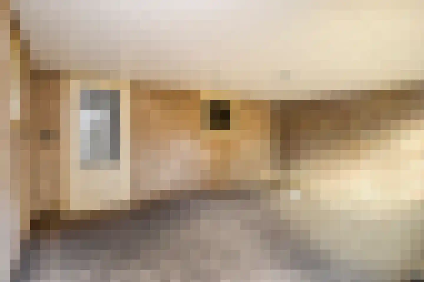 Jan van Amstelstraat 92 Gemert thumbnail 44