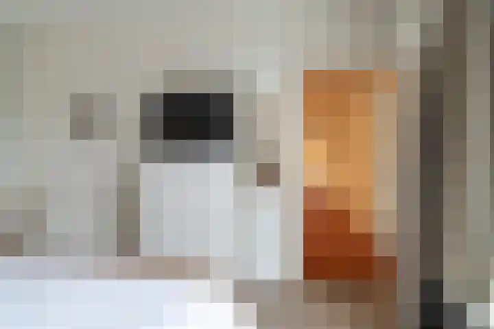 Jan van Arkelstraat 1 Sleeuwijk thumbnail 20