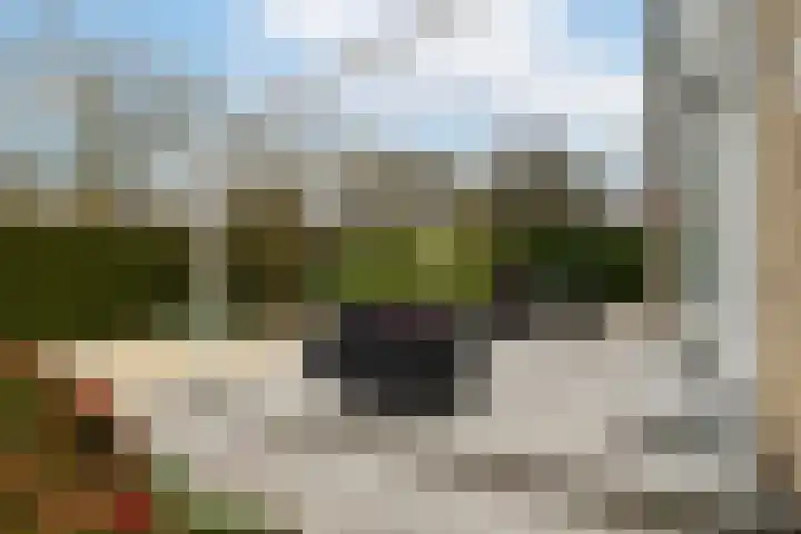 Jan van Arkelstraat 1 Sleeuwijk thumbnail 32