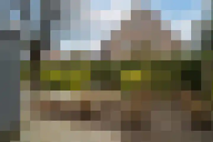 Jan van Arkelstraat 1 Sleeuwijk thumbnail 35