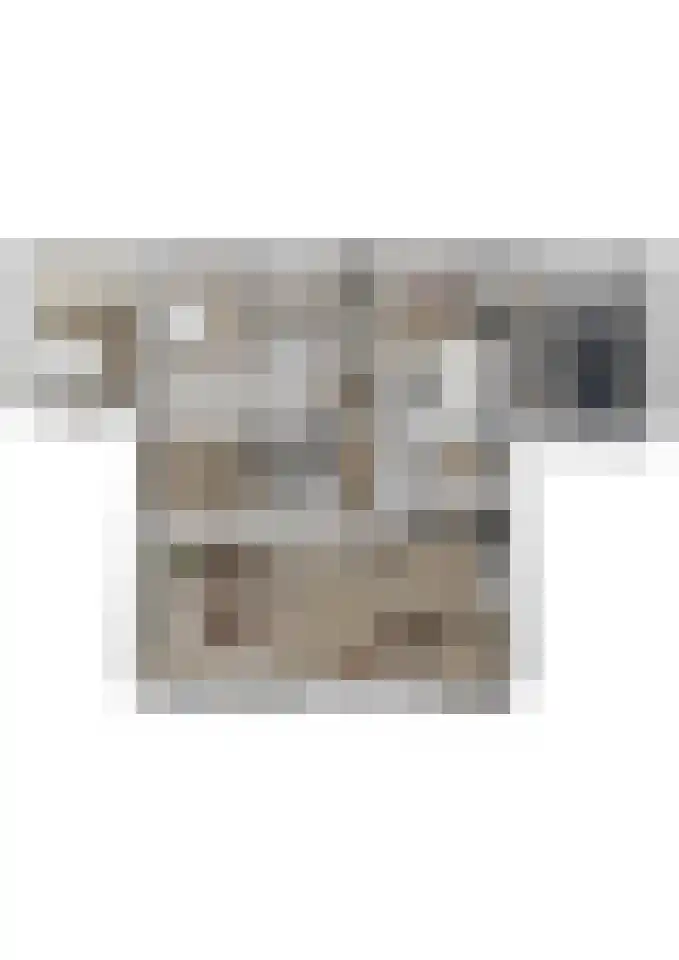 Jan van Arkelstraat 1 Sleeuwijk thumbnail 42