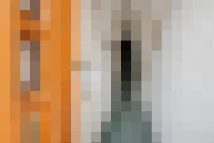 Jan van Arkelstraat 100 Kampen thumbnail 10