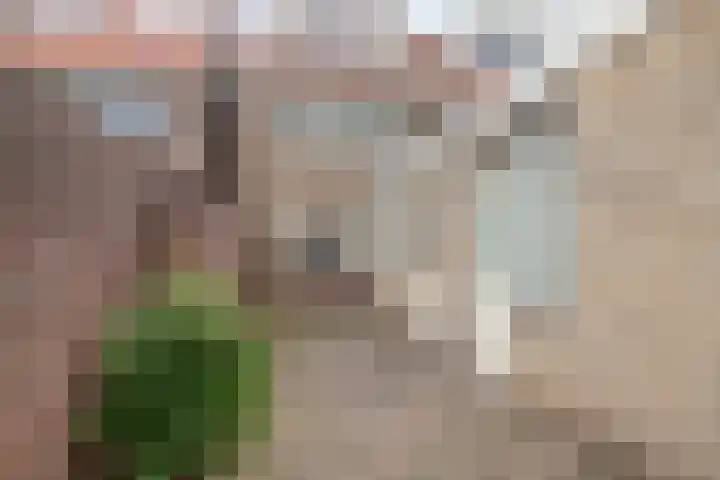 Jan van Arkelstraat 100 Kampen thumbnail 31
