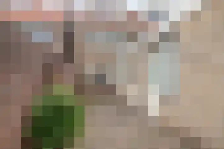 Jan van Arkelstraat 100 Kampen thumbnail 6