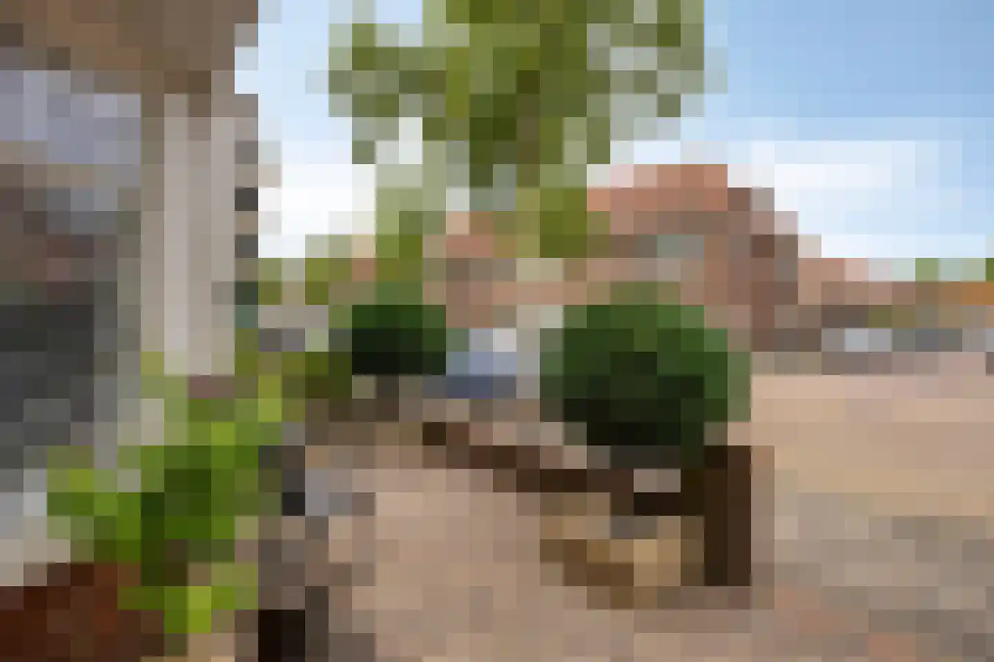 Jan van Arkelstraat 14 Kampen thumbnail 22