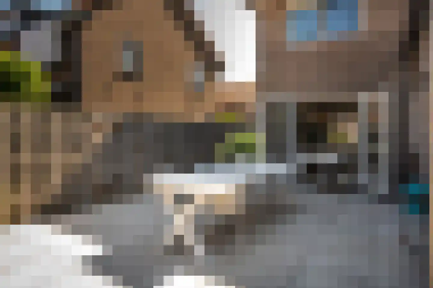 Jan van Arkelstraat 14 Leerdam thumbnail 18