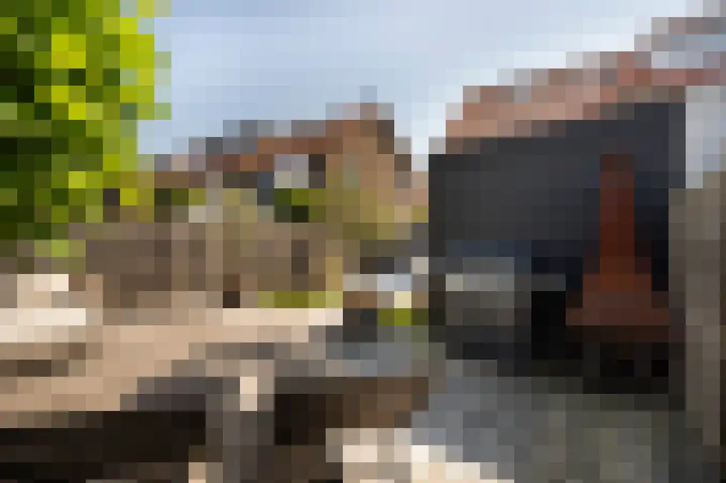 Jan van Arkelstraat 14 Leerdam thumbnail 39