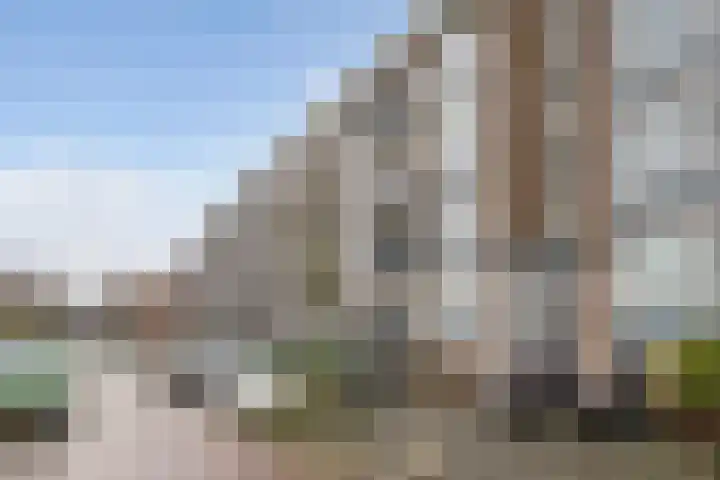 Jan van Arkelstraat 144 Vlaardingen thumbnail 25