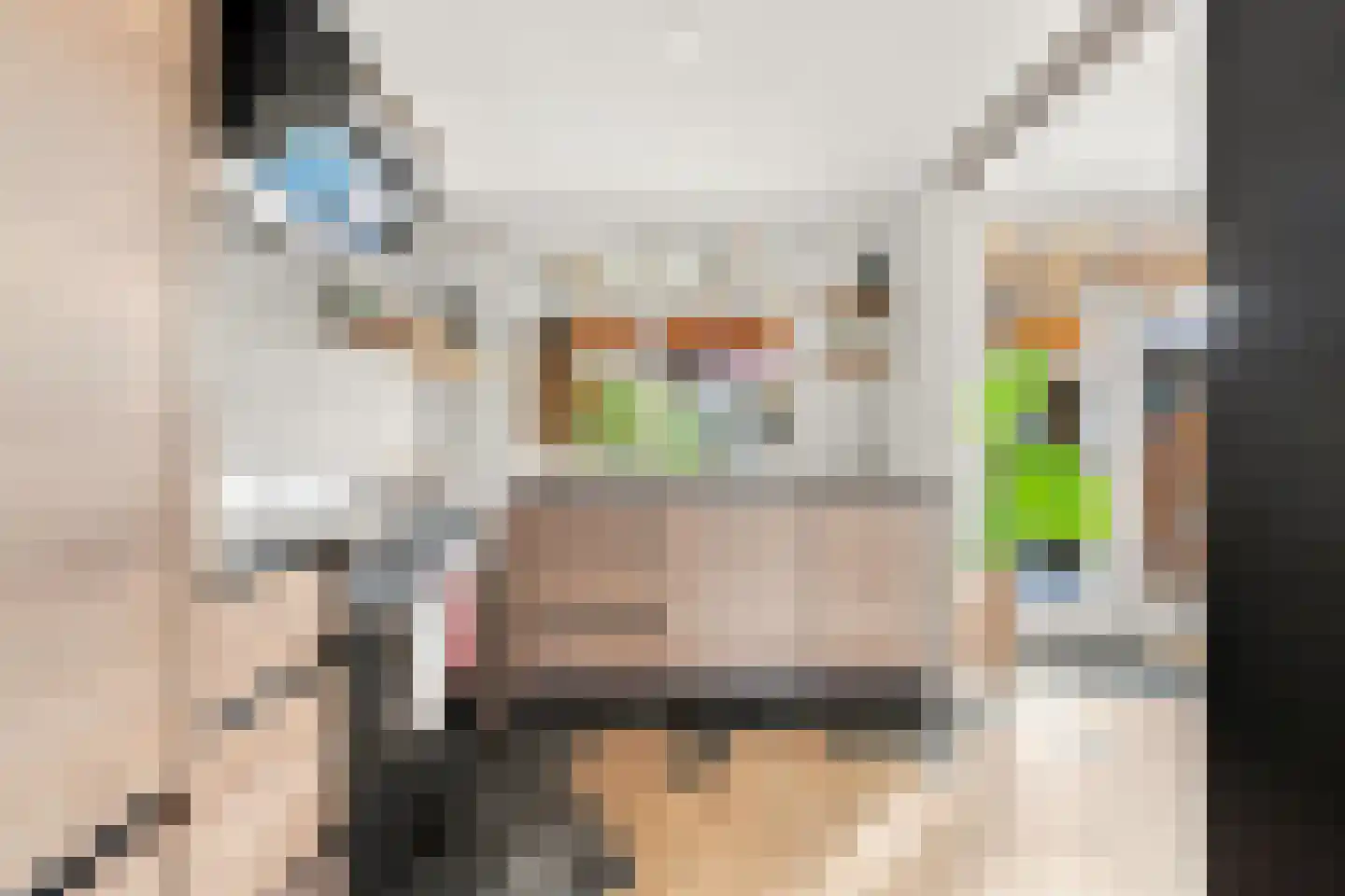 Jan van Arkelstraat 23 Nieuw-Lekkerland thumbnail 14