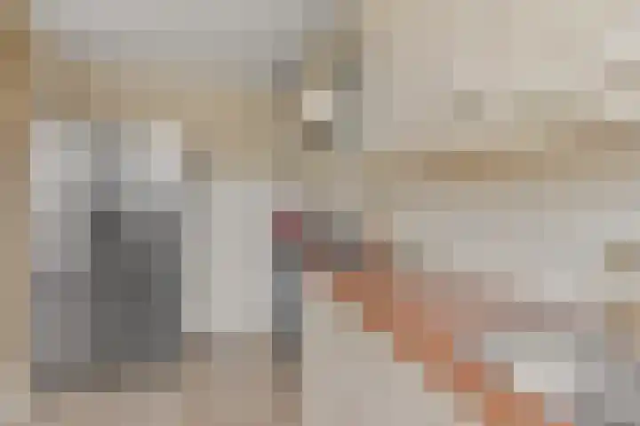 Jan van Arkelstraat 25 Everdingen thumbnail 10