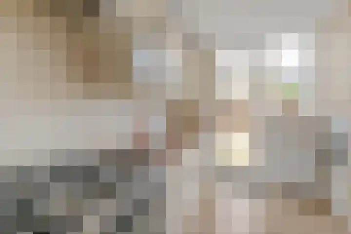 Jan van Arkelstraat 25 Everdingen thumbnail 11