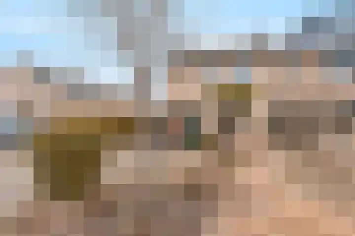 Jan van Arkelstraat 25 Everdingen thumbnail 27