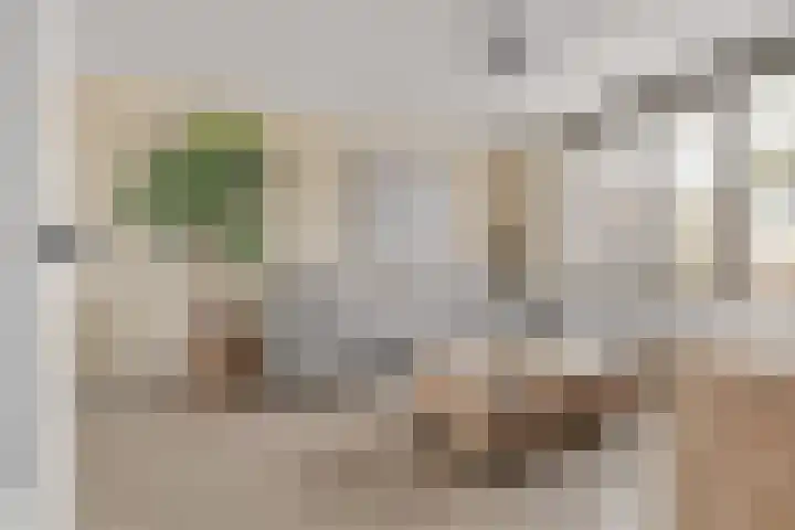Jan van Arkelstraat 25 Everdingen thumbnail 4