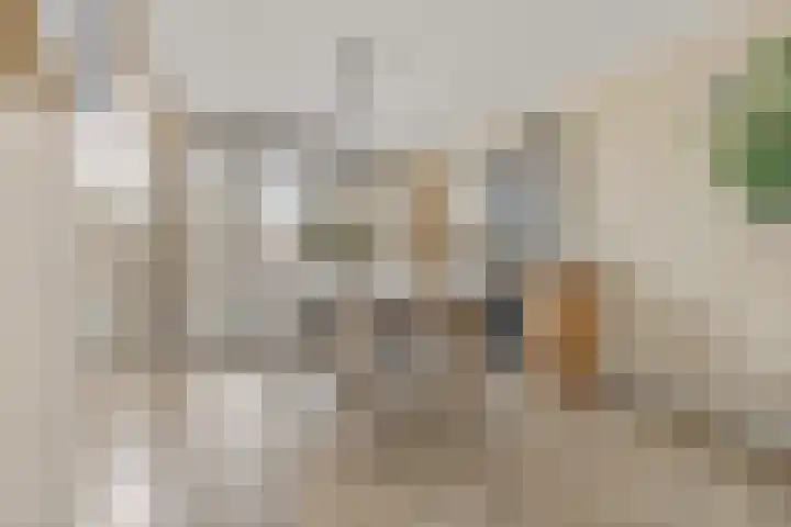 Jan van Arkelstraat 25 Everdingen thumbnail 5