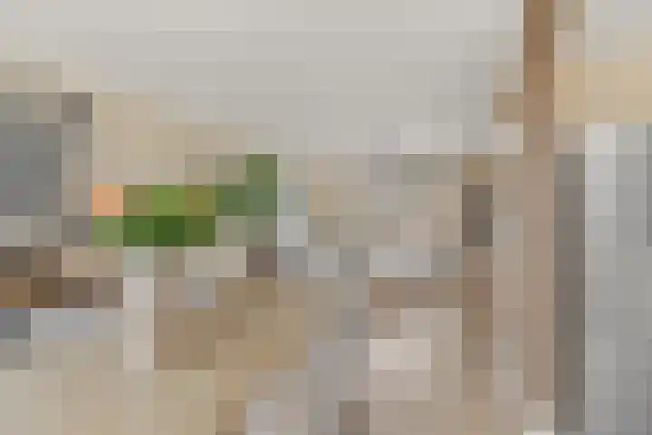 Jan van Arkelstraat 25 Everdingen thumbnail 7