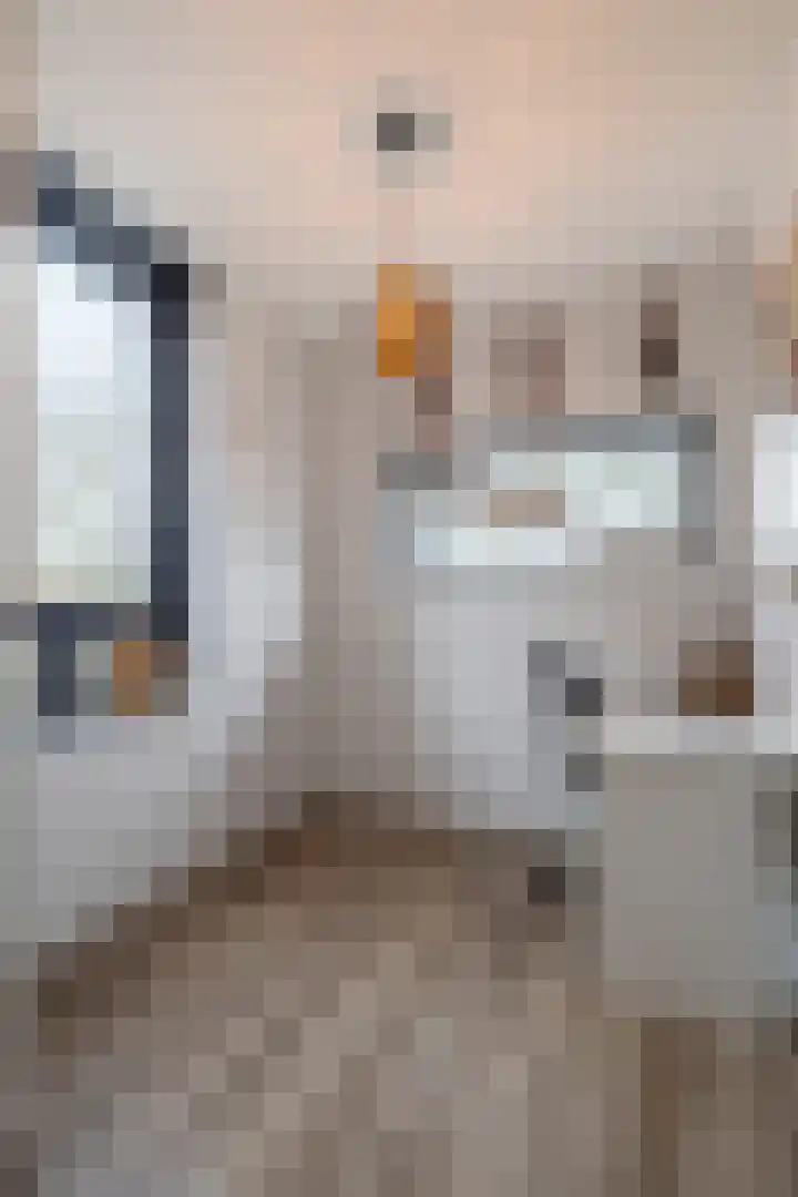 Jan van Arkelstraat 25 Sleeuwijk thumbnail 26