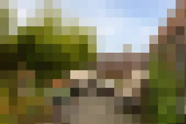 Jan van Arkelstraat 25 Sleeuwijk thumbnail 39