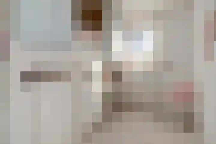 Jan van Arkelstraat 27 Everdingen thumbnail 22