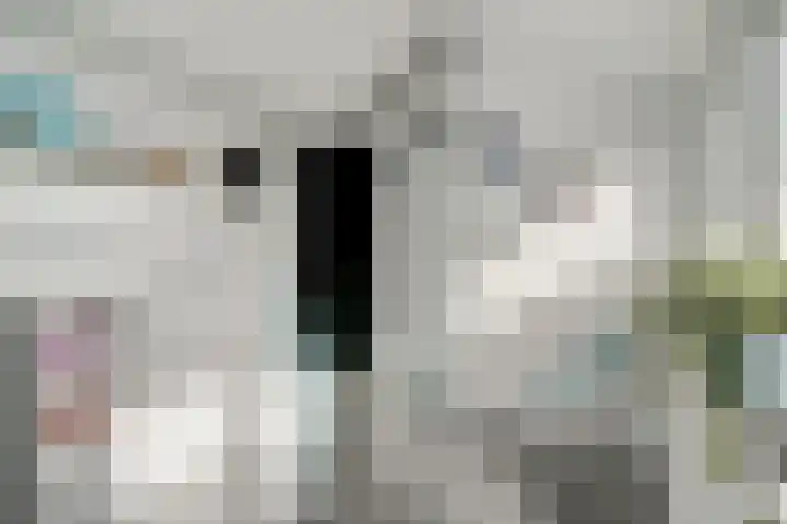 Jan van Arkelstraat 27 Everdingen thumbnail 26