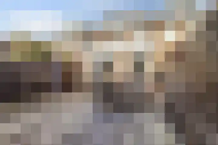 Jan van Arkelstraat 27 Everdingen thumbnail 32