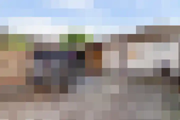 Jan van Arkelstraat 27 Everdingen thumbnail 34