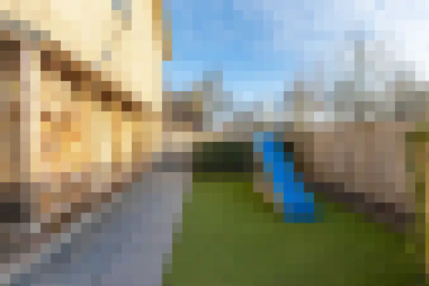 Jan van Arkelstraat 38 Sleeuwijk thumbnail 66