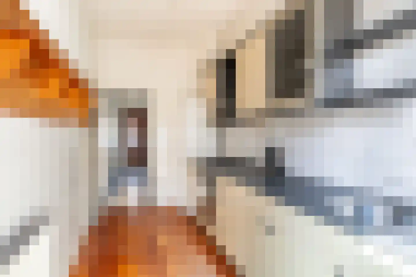 Jan van Arkelstraat 4 Kampen thumbnail 12