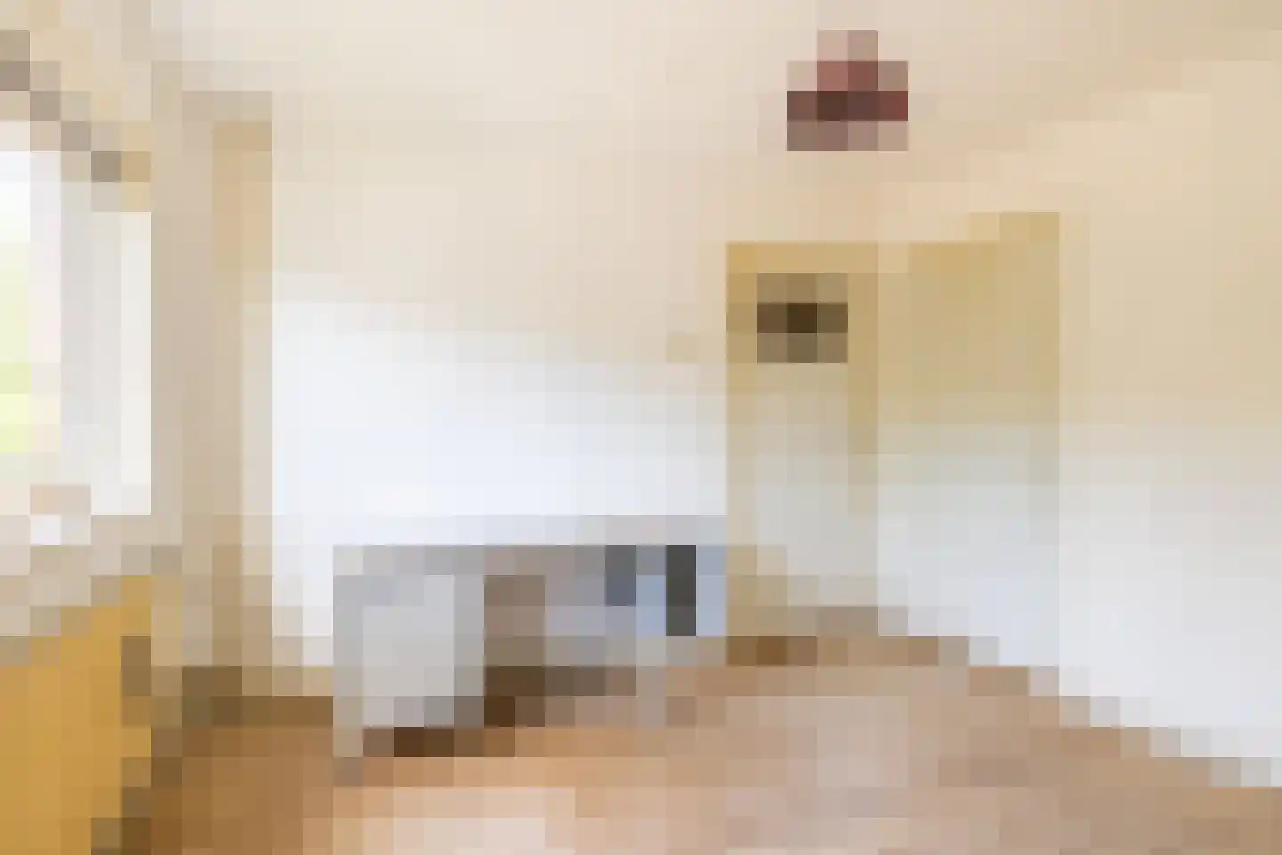Jan van Arkelstraat 4 Kampen thumbnail 20