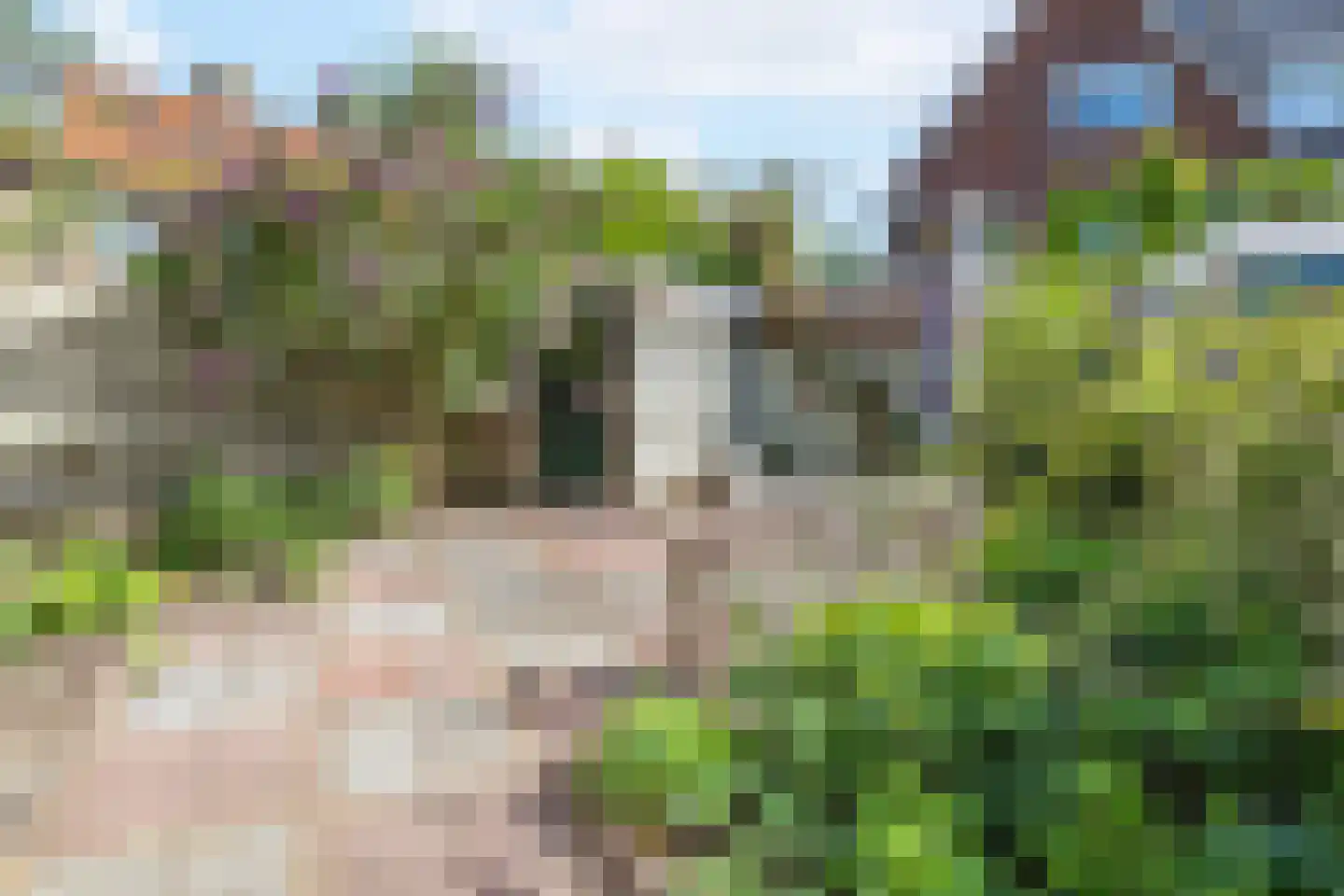 Jan van Arkelstraat 4 Kampen thumbnail 35
