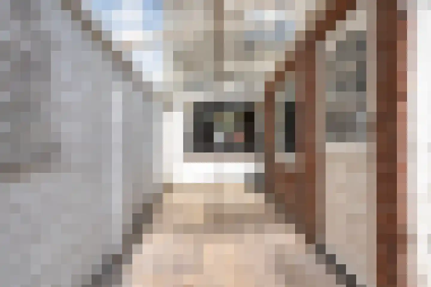 Jan van Arkelstraat 61 Kampen thumbnail 27