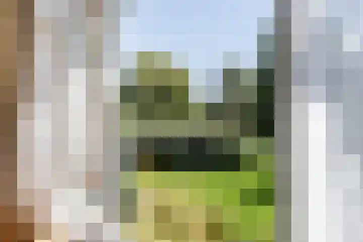 Jan van Arkelstraat 66 Vlaardingen thumbnail 11