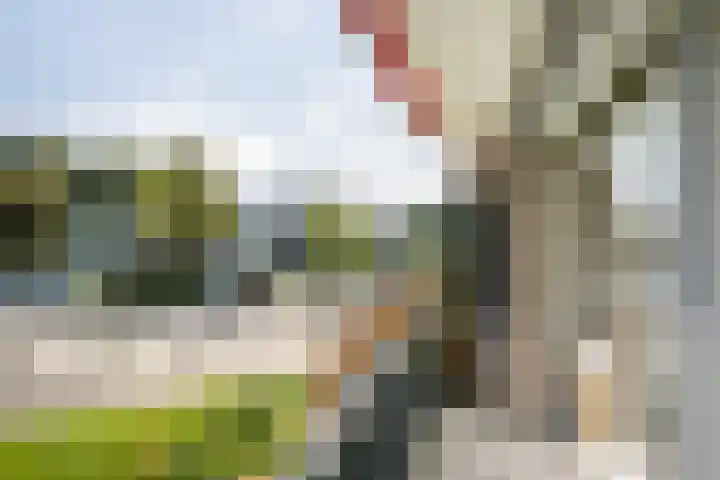 Jan van Arkelstraat 66 Vlaardingen thumbnail 16