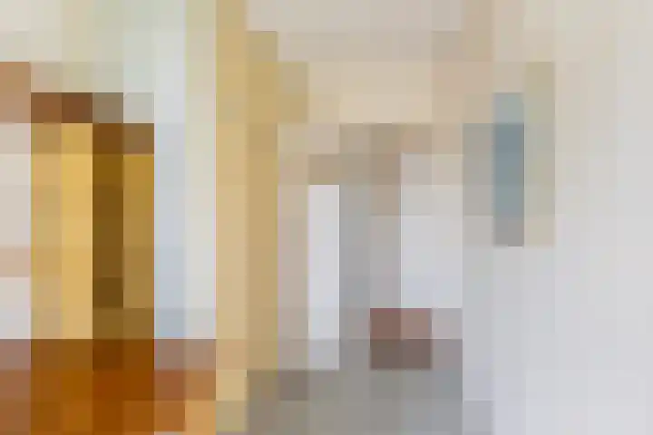 Jan van Arkelstraat 66 Vlaardingen thumbnail 20