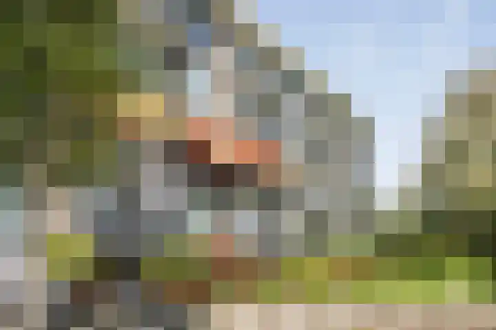 Jan van Arkelstraat 66 Vlaardingen thumbnail 27