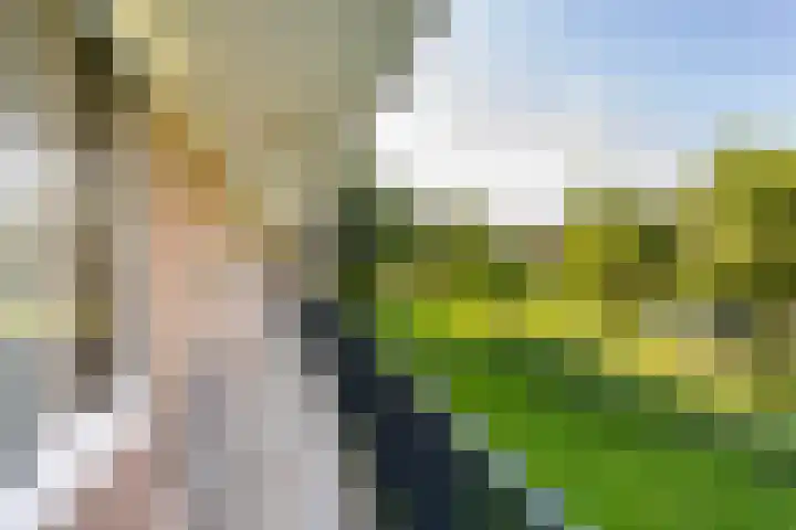 Jan van Arkelstraat 66 Vlaardingen thumbnail 6