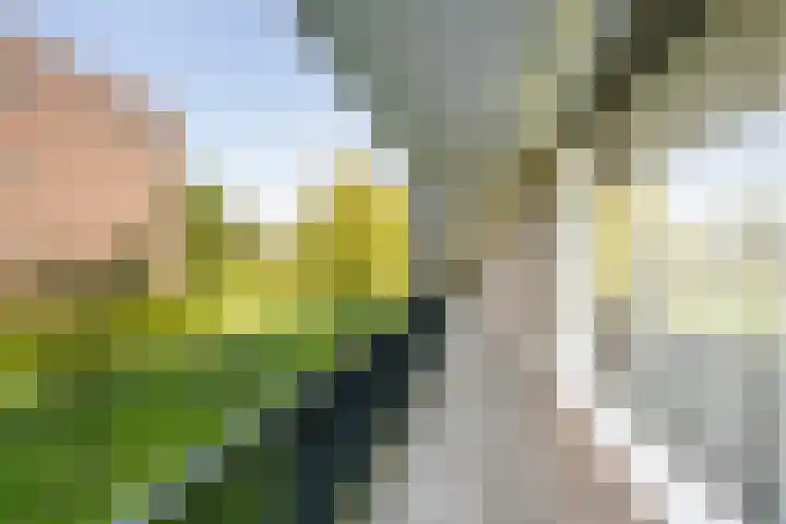 Jan van Arkelstraat 66 Vlaardingen thumbnail 7
