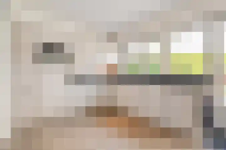 Jan van Arkelstraat 70 Raalte thumbnail 17