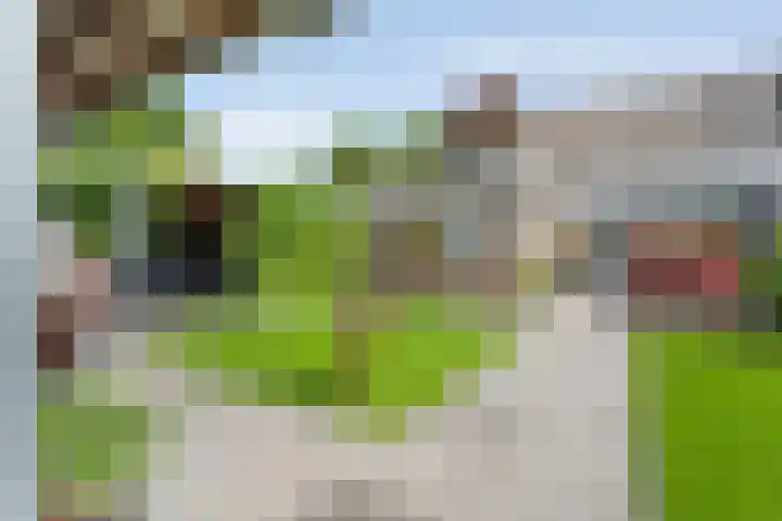 Jan van Arkelstraat 70 Raalte thumbnail 31