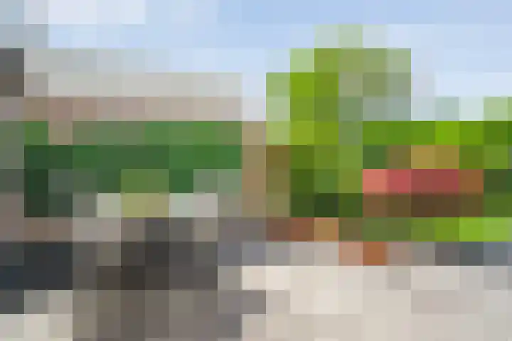 Jan van Arkelstraat 70 Raalte thumbnail 32