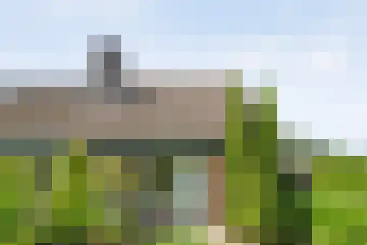 Jan van Arkelstraat 70 Raalte thumbnail 38