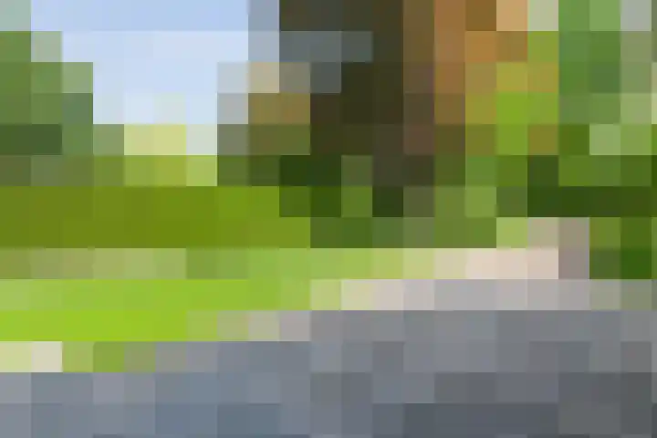 Jan van Arkelstraat 70 Raalte thumbnail 5