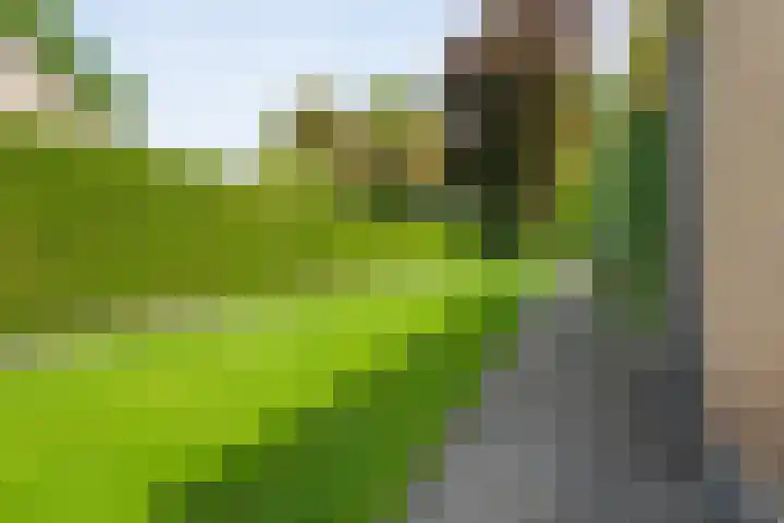 Jan van Arkelstraat 70 Raalte thumbnail 6