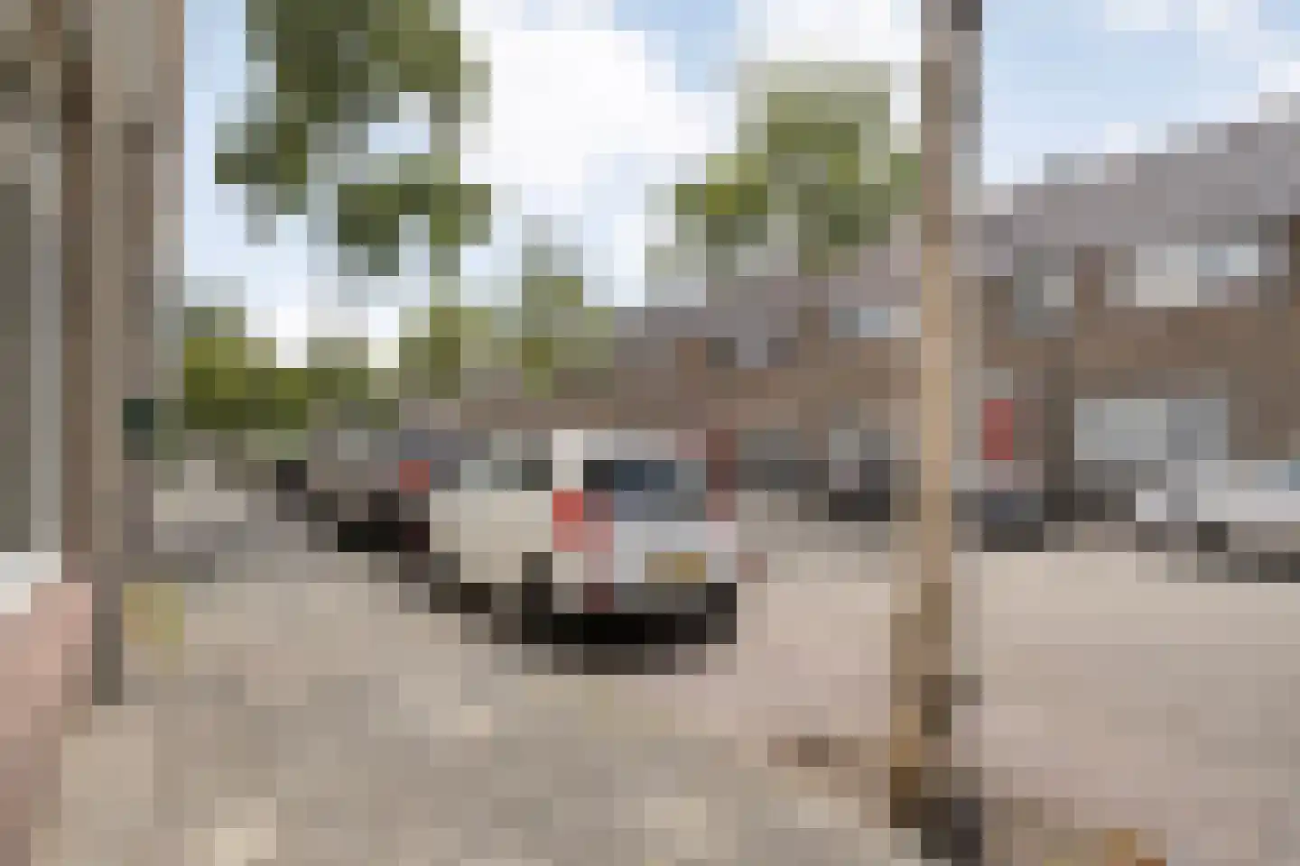 Jan van Arkelstraat 78 Kampen thumbnail 35