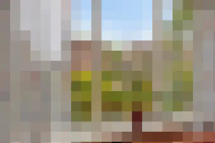 Jan van Arkelweg 11 Rhenen thumbnail 11