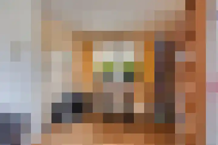 Jan van Arkelweg 11 Rhenen thumbnail 12